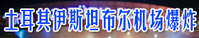 土耳其伊斯坦布尔机场爆炸 致逾百人死伤